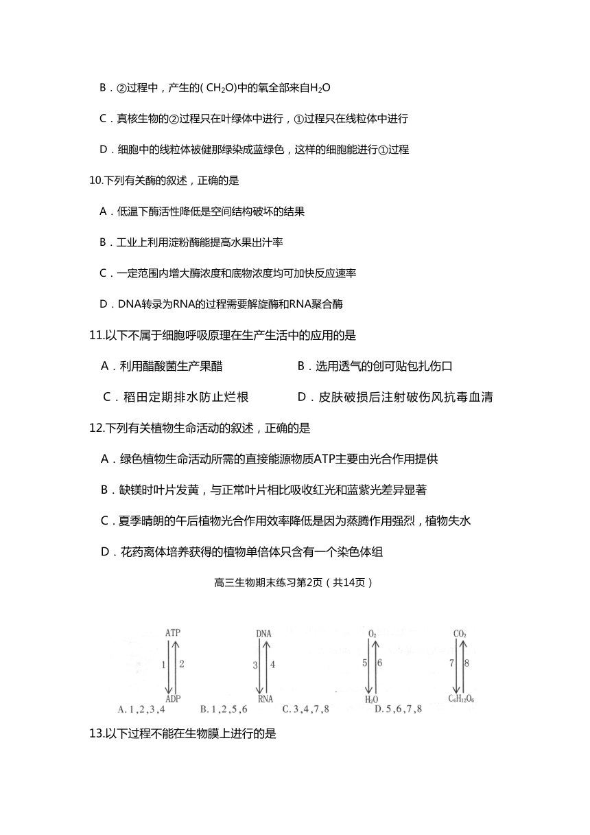 北京市丰台区2014--2015学年高三第一学期期末考试生物试题