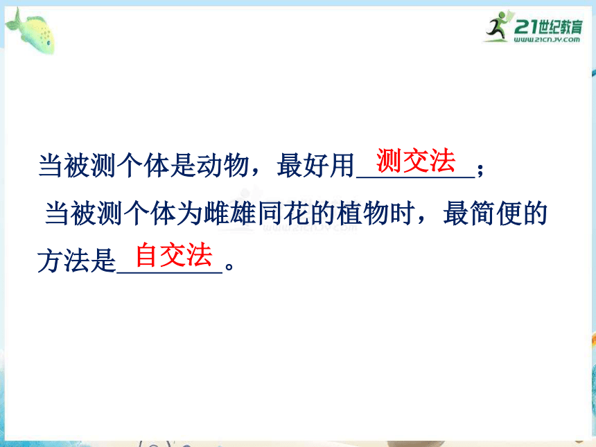 1.1.3 分离定律的解题规律及实践应用（课件共19张PPT）