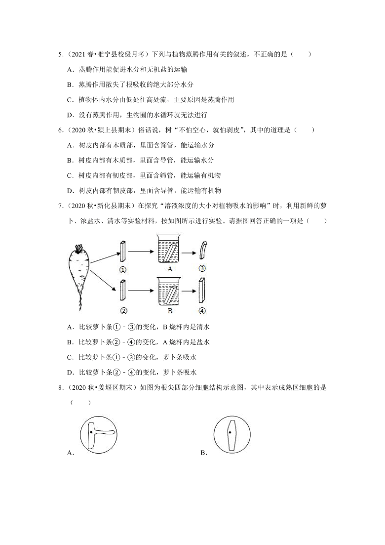 2021年江苏省中考生物复习专练——专题7植物的水和盐运输（Word解析版）