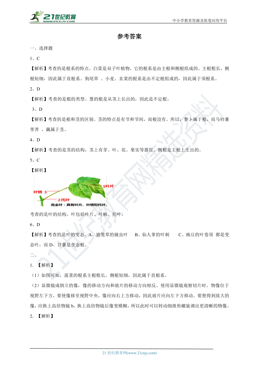 3.1 在实验室里观察植物 练习