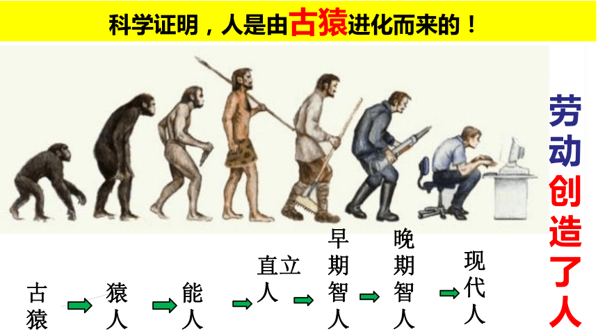 第1课中国境内早期人类的代表——北京人  课件（20张PPT）