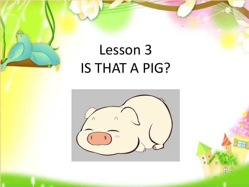 Lesson 3 Is that a pig? 课件