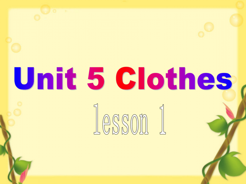 Unit 5 Clothes Lesson 1 课件