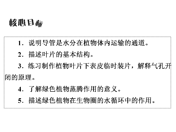 第3单元  第3章　绿色植物与生物圈的水循环(共51张PPT)