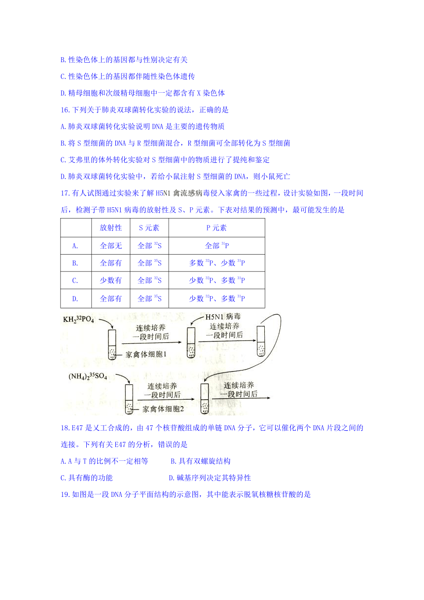 河北省衡水中学2016-2017学年高一下学期期末考试生物试题