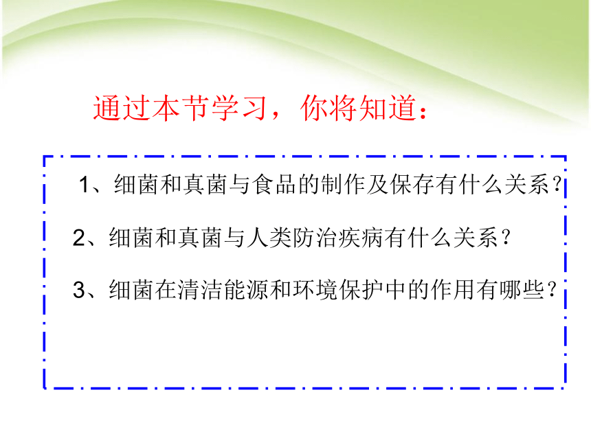 人类对细菌真菌的利用 课件 22张PPT