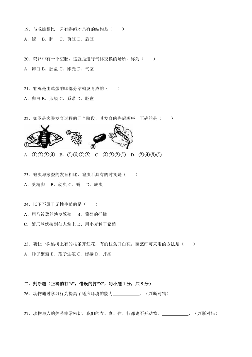 福建省南平市邵武七中2015-2016学年八年级上期中生物试卷（解析版）