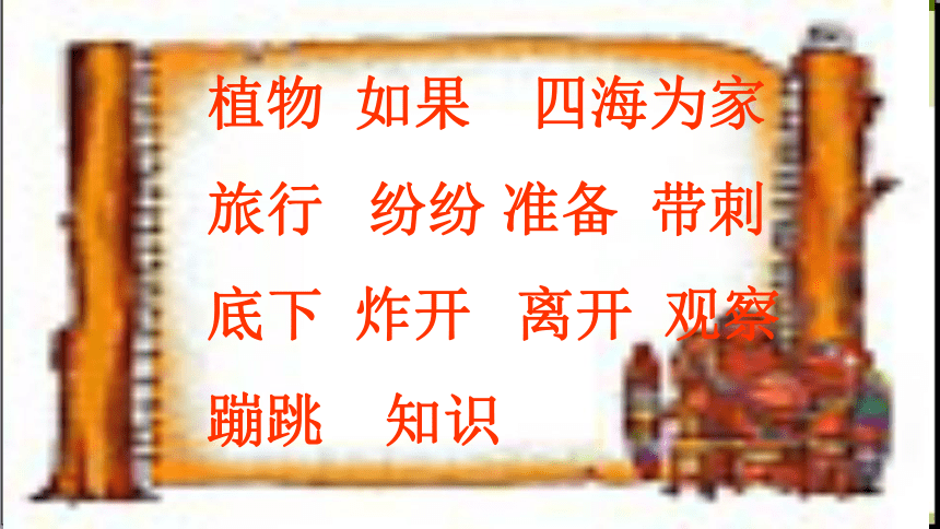 课件预览