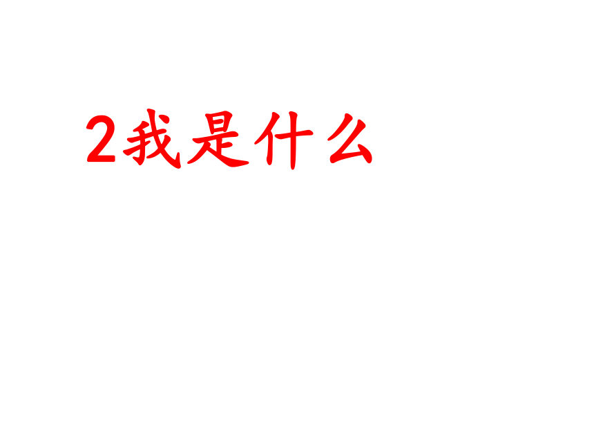 2我是什么课件（共21张 )