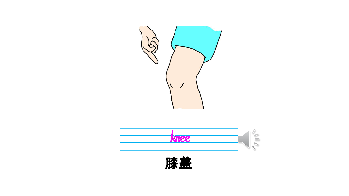 Unit 10 He has two feet. 课件（33张PPT）