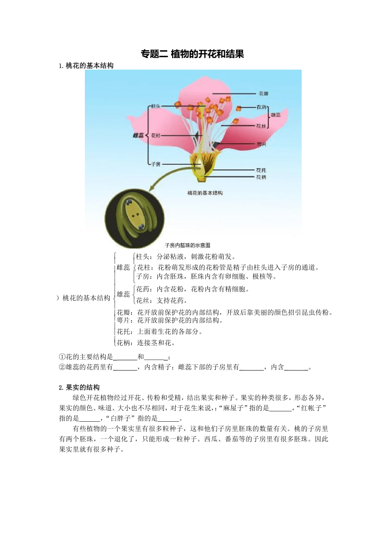 生物 期末专区 七年级上册       专题一 植株的生长  根尖的结构与