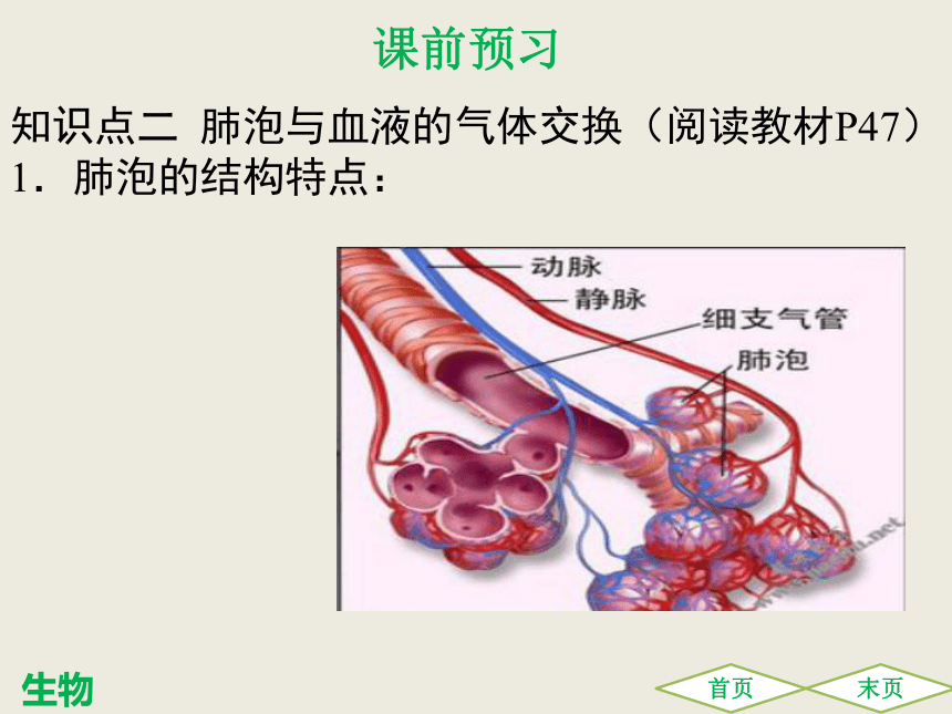 第三章 第二节发生在肺内的气体交换 课件（共30张PPT）