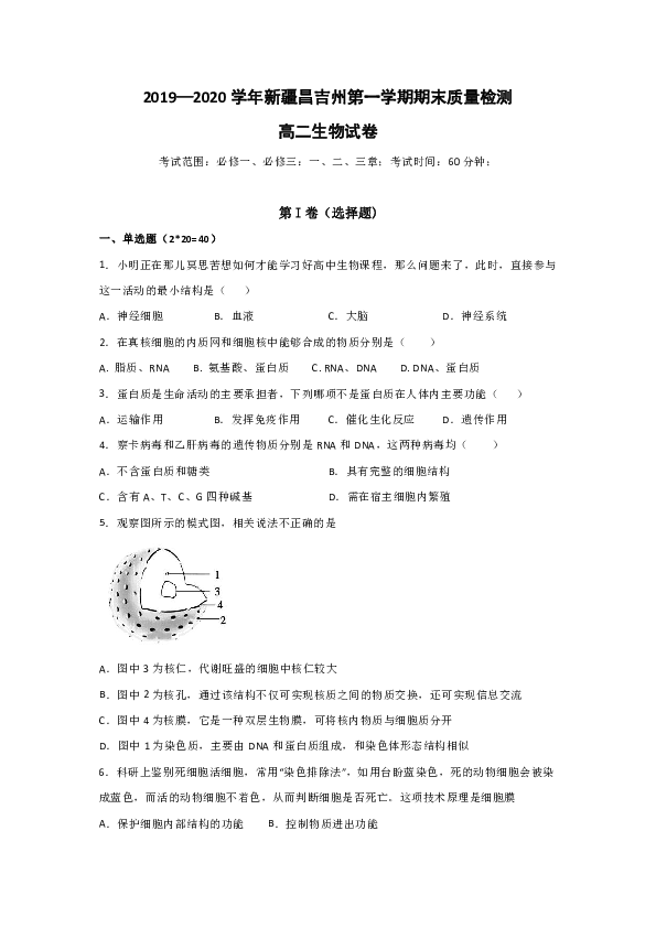 新疆昌吉市教育共同体2019-2020学年高二上学期期末考试生物试题