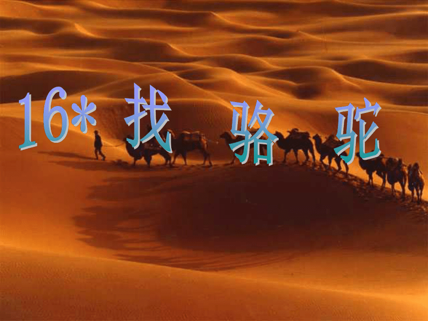 语文三年级上人教新课标4.16找骆驼课件