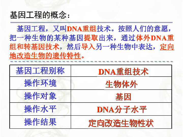 人教版高中生物选修三专题一第1节 DNA重组技术的基本工具  课件共25张PPT