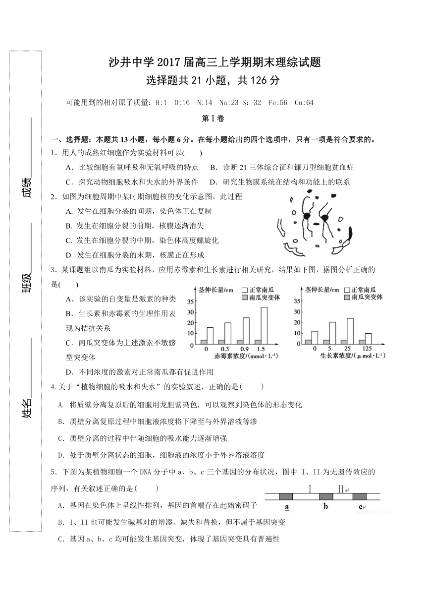 广东省深圳市沙井中学2017届高三上学期期末考试理科综合试题