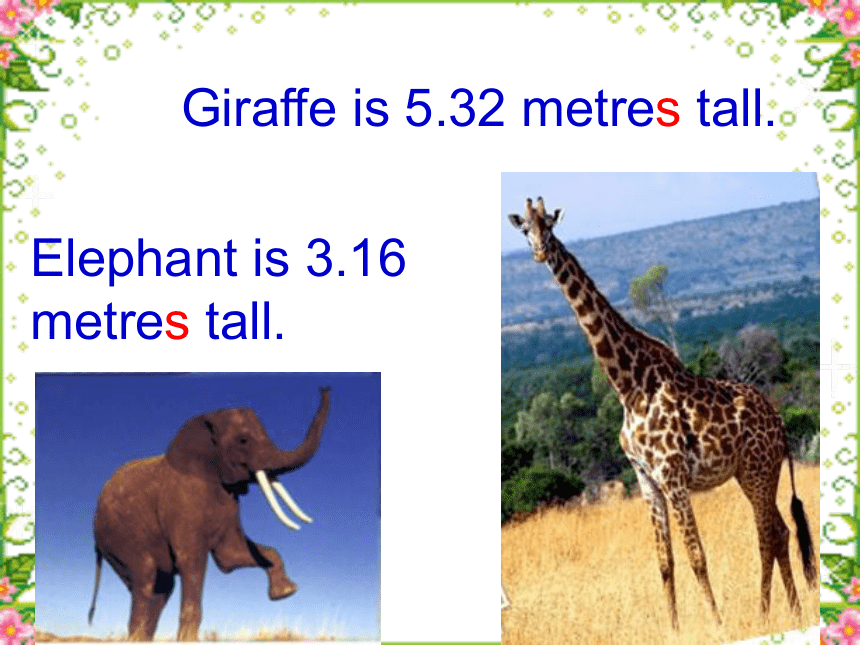 Unit 3 More About Me Lesson 14 How Tall Are You？课件