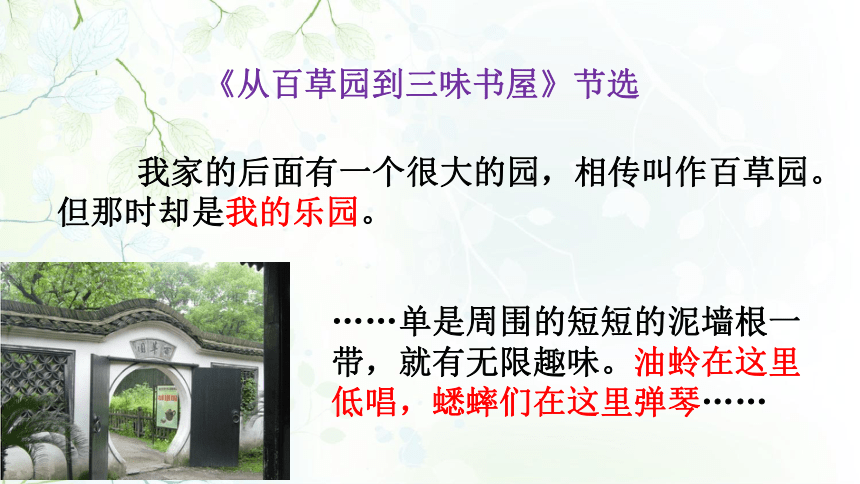 课件预览