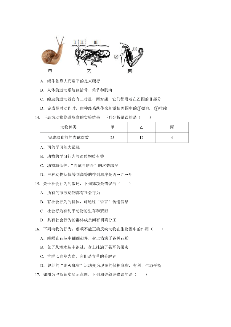 2020-2021学年湖南省邵阳市绥宁县八年级（上）期末生物试卷（word版含解析）