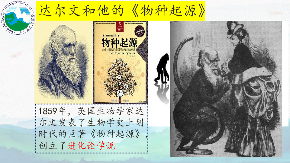 第1课  我国早期人类的代表—北京人(共18张PPT)