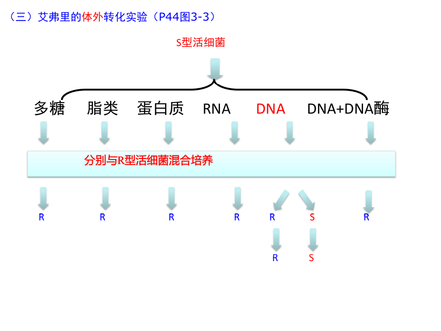 人教版高中生物必修二课件：3.1 DNA是主要的遗传物质（18张PPT）