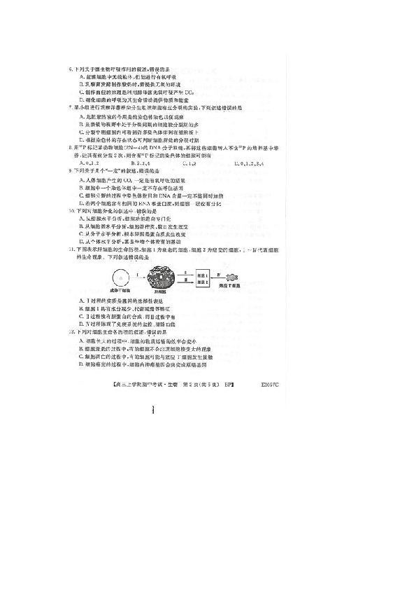 辽宁省北票市第三高级中学2019-2020学年高三学期期中考试生物试卷 扫描版