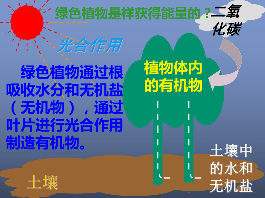 第六节 代谢的多样性(浙江省丽水地区龙泉市)