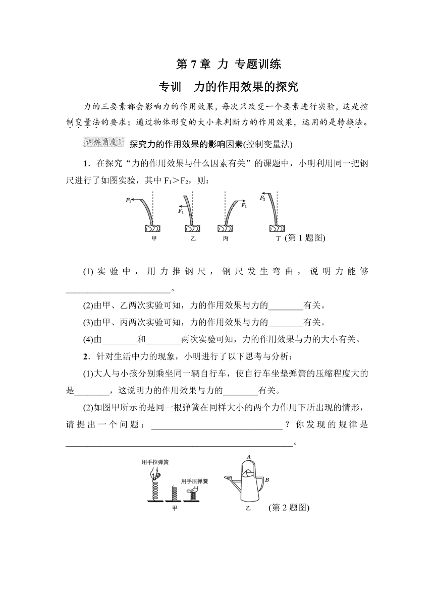 人教版初中物理八年级下册第7章 力 专题训练（含答案）