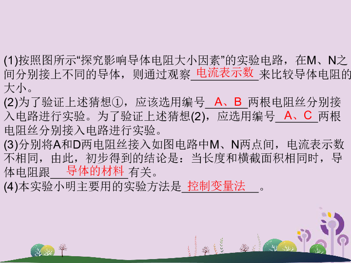 2019年中考科学总复习专题五电学实验探究（精讲）（课件 13张PPT)