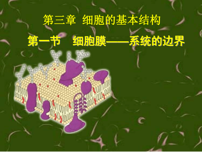 人教版高中生物必修一3.1：细胞膜——系统的边界(35张PPT)
