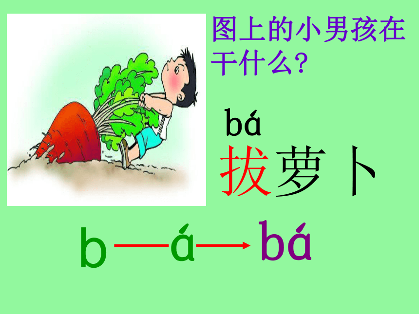 汉语拼音3我来学声母b和p课件31张