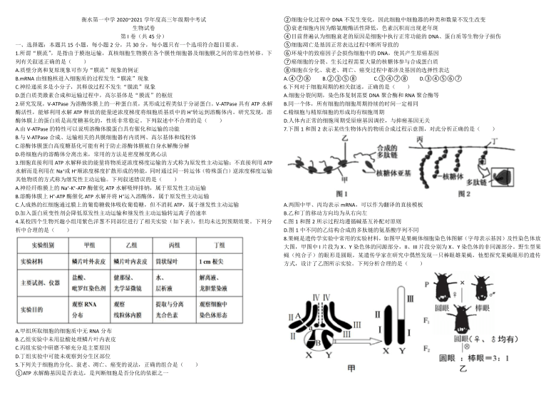 河北省衡水第一高中2021届高三上学期期中考试生物试卷     含答案