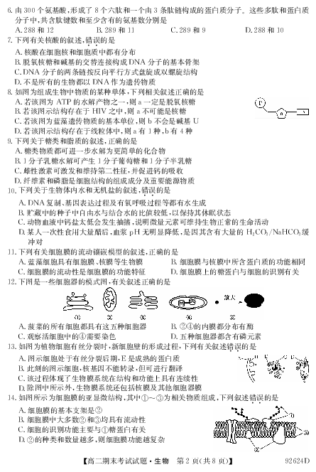 河北省深州中学2018-2019学年高二下学期期末考试生物试题（PDF版含答案）