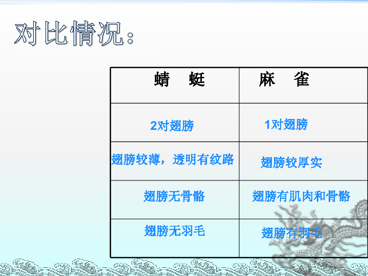 蜻蜓与麻雀课件 (共17张PPT)