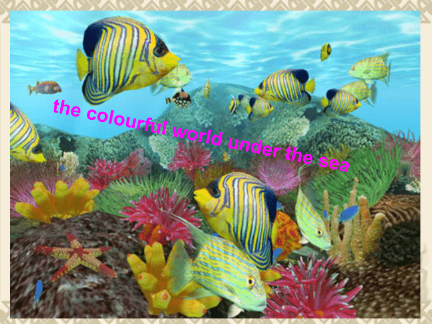 Unit 3 Under the sea Using Language II 课件（32张）