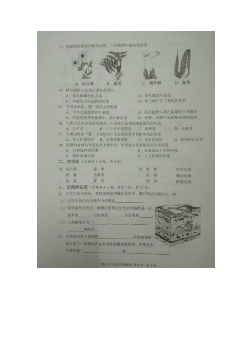 湖北省潜江市2017-2018学年八年级下学期期末质量检测生物试题（扫描版，含答案）