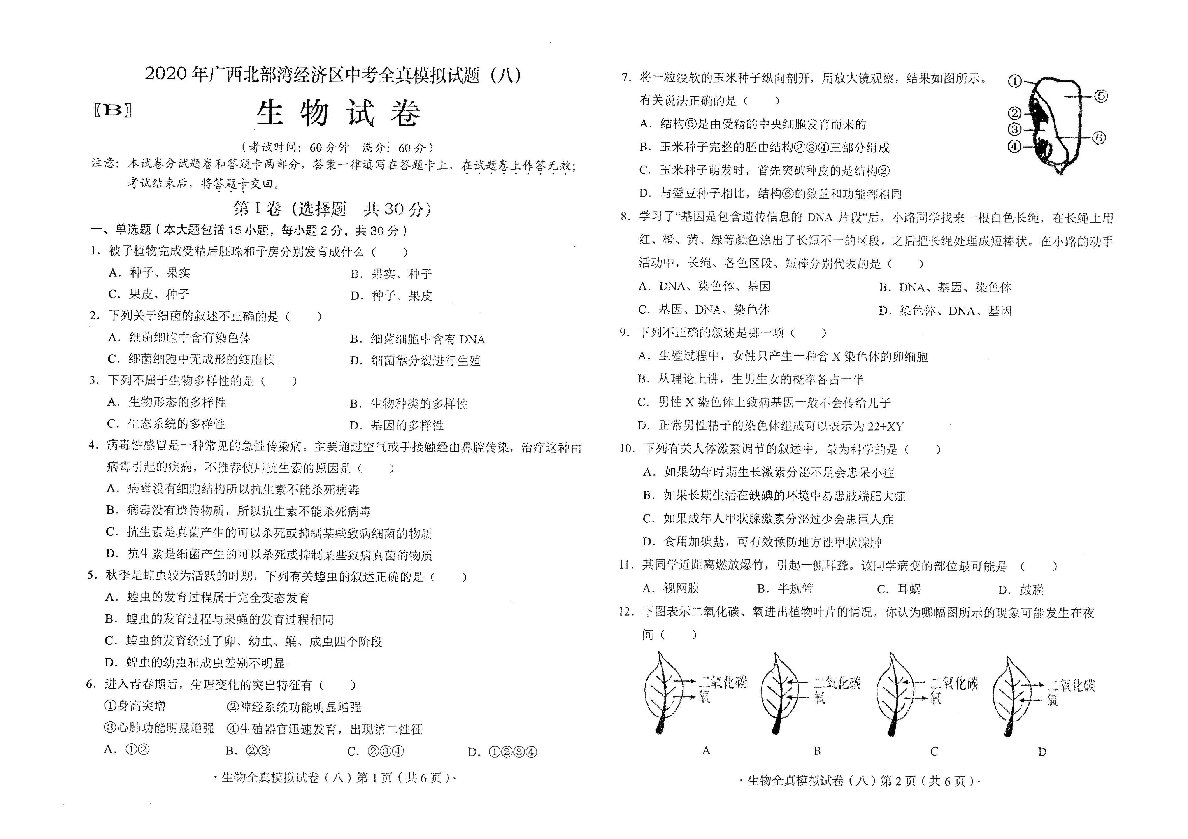 2020年广西南宁市中考全真模拟试题（八）生物试题（扫描版，含答案）