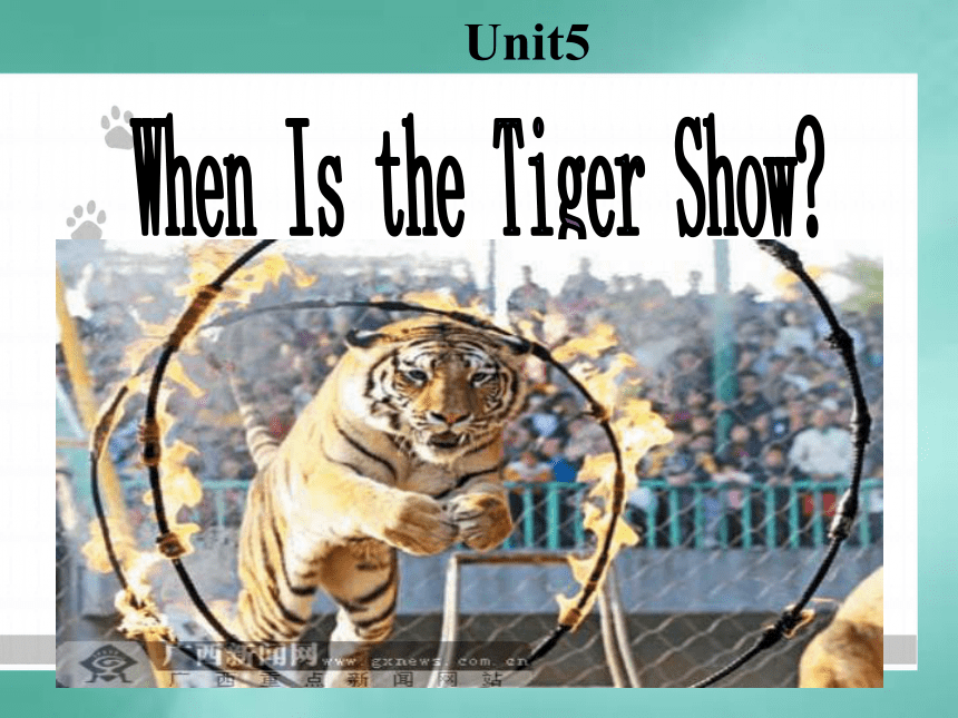Unit 5 When is the tiger show Lesson 1 课件