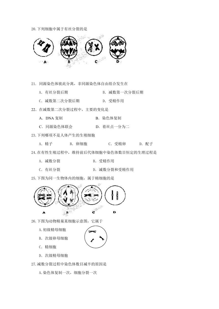 江苏省泗洪县洪翔中学2013-2014学年高一下学期第一次学情调研考试生物试题