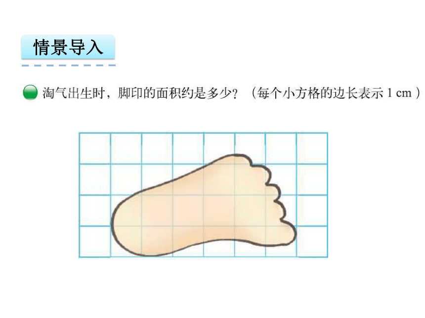 北师大版小学数学五年级上册第六单元6.2 不规则图形的面积课件（共24张幻灯片）