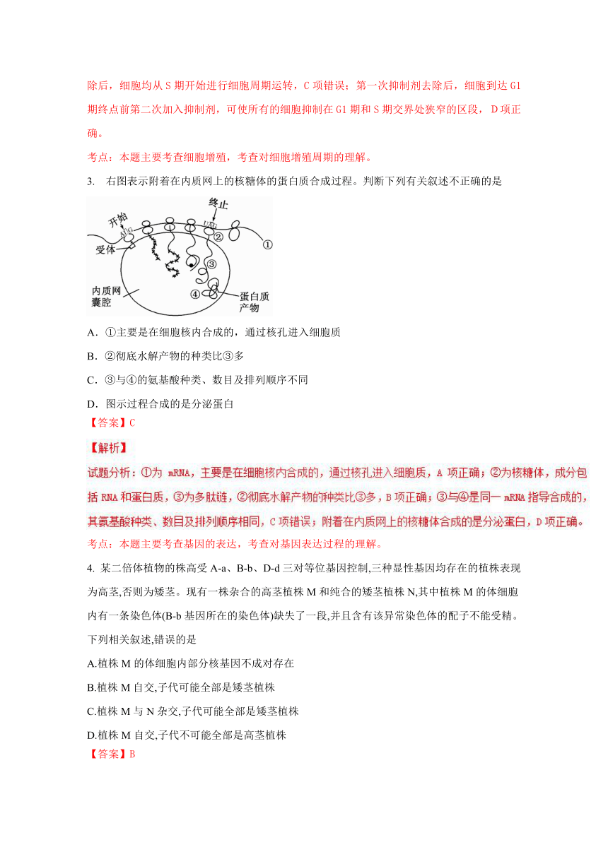 四川省成都外国语学校2017届高三9月月考理综生物试题解析（解析版）