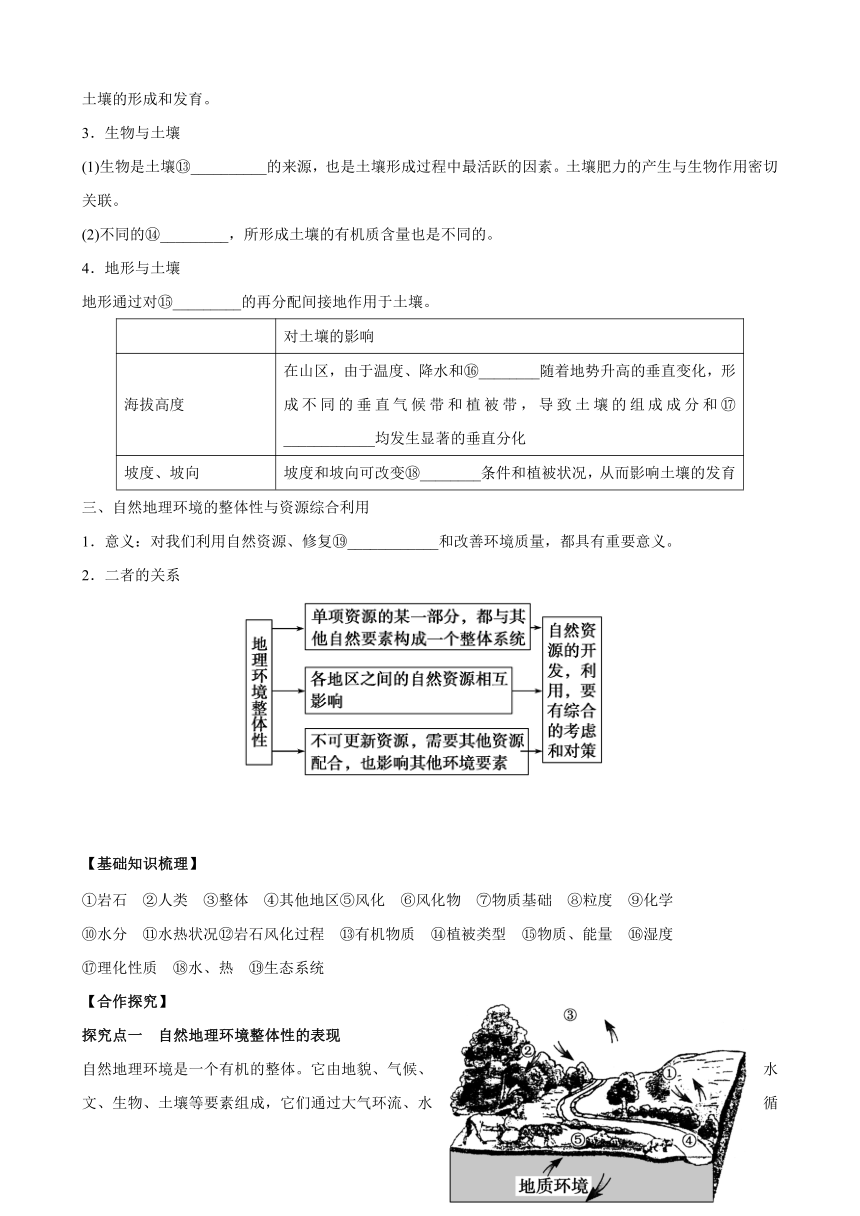 5.1 自然地理环境的整体性 学案 (3)