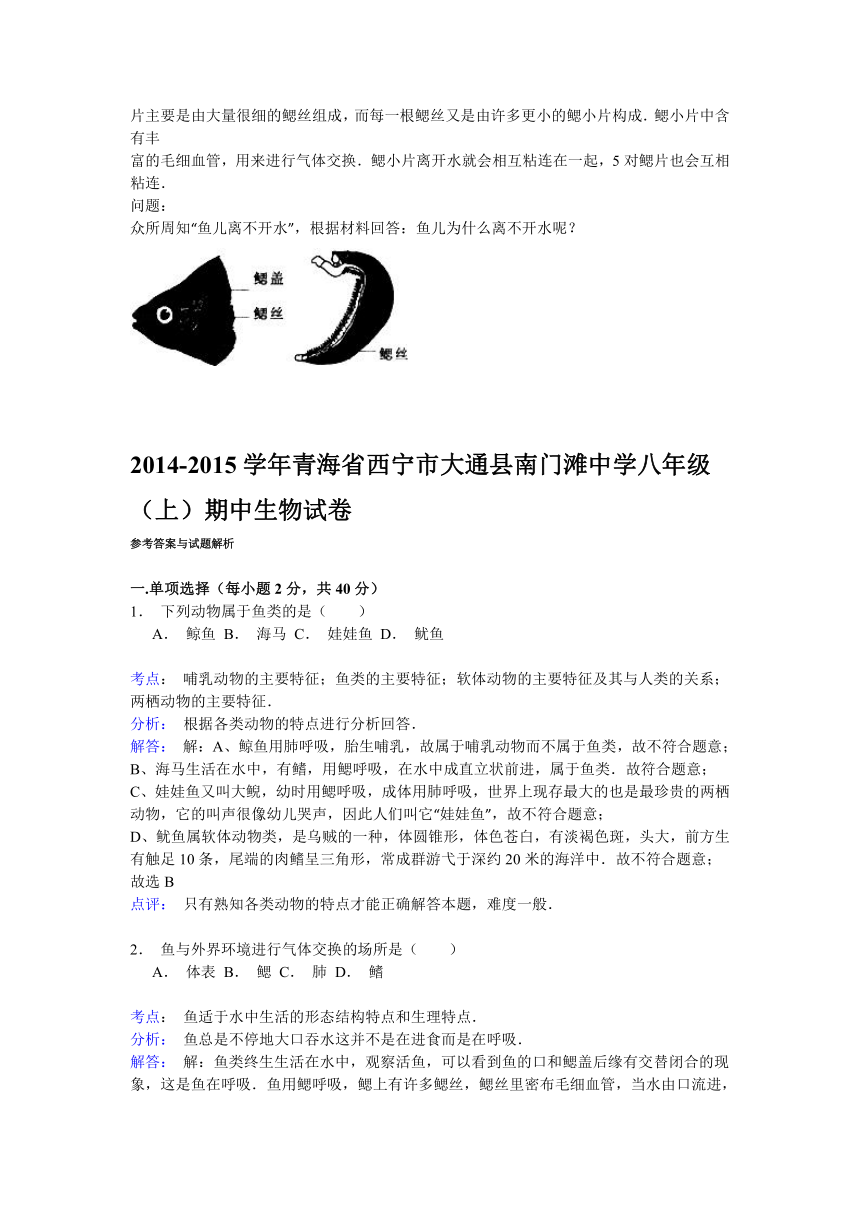 青海省西宁市大通县南门滩中学2014-2015学年八年级（上）期中生物试卷解析