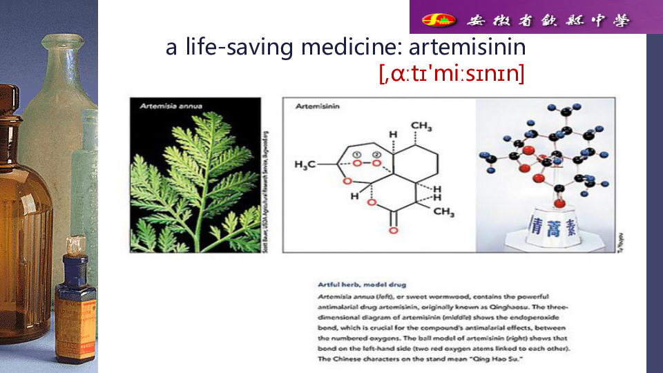 Unit 2 Fit for life Reading(1)：Two life-saving medicines 课件（17张PPT）