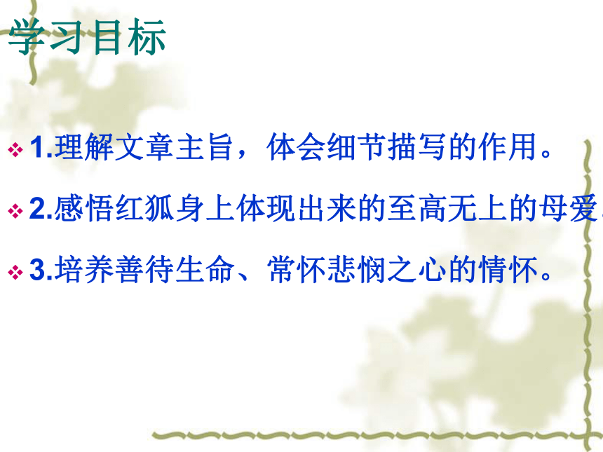 苏教版选修《现代散文选读》《怀念红狐》课件（26张）