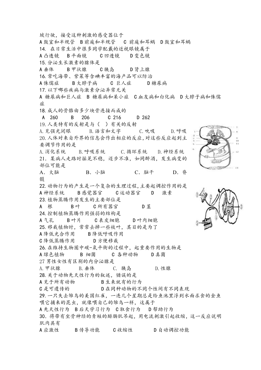 江苏省启东市东海中学2013-2014学年八年级上学期期中考试生物试题