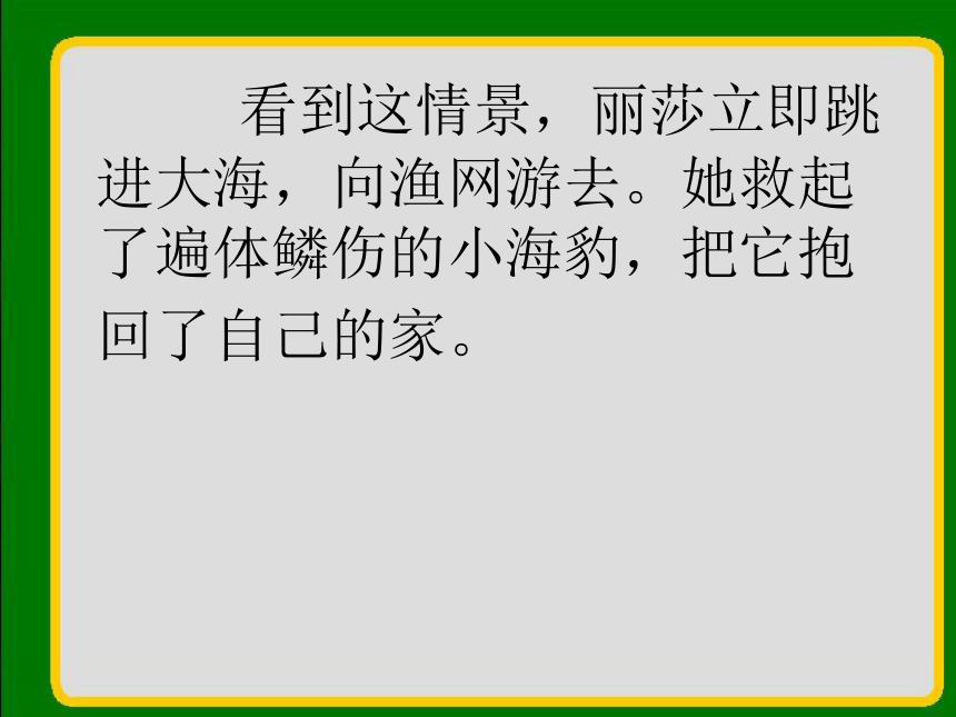 幸运的小海豹   课件