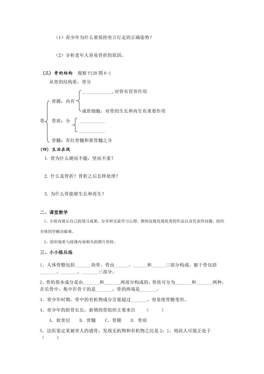 《骨的成分和结构》讲学稿