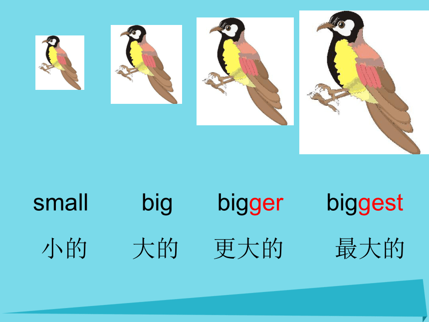 Unit 9 This bird is bigger than fist one 课件