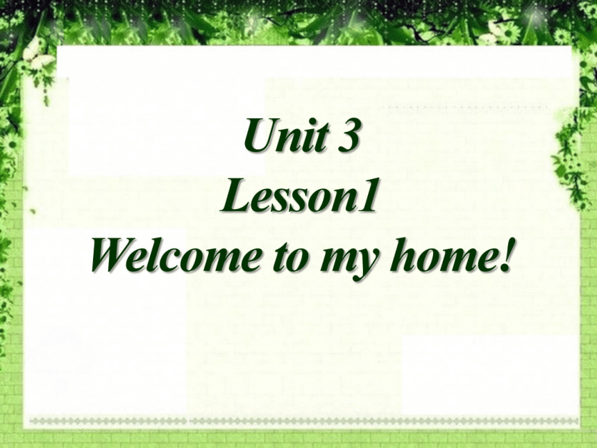 Lesson 1 Welcome to my home! 课件